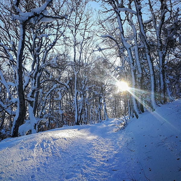 Raquetas de nieve: el senderismo de invierno
